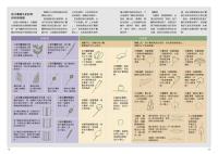 蕨類観察図鑑 2 進階珍稀篇／觀察家
