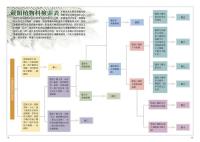 蕨類観察図鑑 2 進階珍稀篇／觀察家