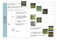 蕨類観察図鑑 2 進階珍稀篇／觀察家