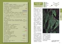 蕨類観察図鑑 2 進階珍稀篇／觀察家