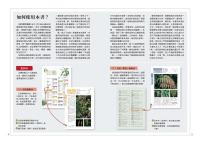 蕨類観察図鑑 1 基礎常見篇／觀察家