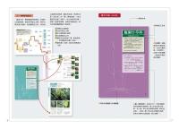 蕨類観察図鑑 1 基礎常見篇／觀察家