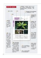 蕨類観察図鑑 1 基礎常見篇／觀察家