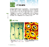 藥用植物圖鑑【精解版】：植物細胞、組織、器官、型態、進化與共生，以及藥用分類等
