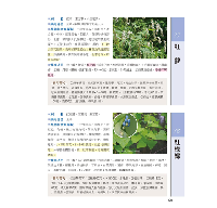 草藥圖鑑：600種野外常見藥用植物