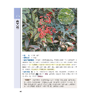 草藥圖鑑：600種野外常見藥用植物