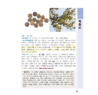 草藥圖鑑：600種野外常見藥用植物