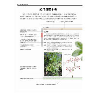 台灣傳統青草茶植物圖鑑（收錄常用青草茶植物113種，與24節氣獨家青草茶配方）台灣自然圖鑑