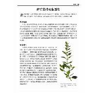 台灣傳統青草茶植物圖鑑（收錄常用青草茶植物113種，與24節氣獨家青草茶配方）台灣自然圖鑑