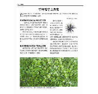 台灣常見雜草圖鑑（標示有毒植物、外來種與防治方式，有效管理草坪雜草）台灣自然圖鑑
