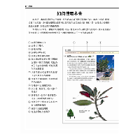 台灣行道樹圖鑑（從葉型、花色、樹形輕鬆辨識全台110種常見行道樹）台灣自然圖鑑