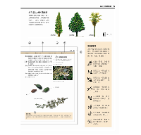 台灣行道樹圖鑑（從葉型、花色、樹形輕鬆辨識全台110種常見行道樹）台灣自然圖鑑