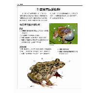 台灣蛙類與蝌蚪圖鑑：台灣自然圖鑑