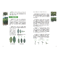 品茶圖鑑：走進茶的世界，214種茶葉解析＆全彩茶湯圖片