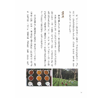 品味台灣老茶：茶風系列