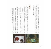 品味台灣老茶：茶風系列