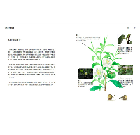 茶味裡的隱知識：風味裡隱含的物質之謎與台灣茶故事，我的10年學茶筆記(樂食Santé)