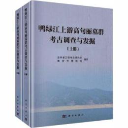 鴨緑江上遊高句麗墓群考古調査与発掘  全2冊