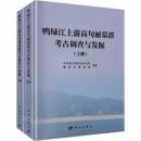 鴨緑江上遊高句麗墓群考古調査与発掘  全2冊