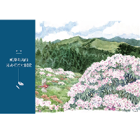 横断台湾:追尋台湾高山植物地理起源(春山之聲Voice)Traverse Taiwan: On the Phytogeographical Origin of Montane Plants in Taiwan