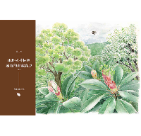 横断台湾:追尋台湾高山植物地理起源(春山之聲Voice)Traverse Taiwan: On the Phytogeographical Origin of Montane Plants in Taiwan