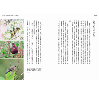 横断台湾:追尋台湾高山植物地理起源(春山之聲Voice)Traverse Taiwan: On the Phytogeographical Origin of Montane Plants in Taiwan