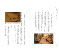 逛一回鮮活的宋朝民俗(HISTORY系列)