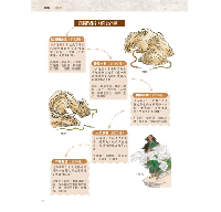 圖解山海經：解讀中國神話之源，認識上古山川地理和奇獸異族(圖解經典)