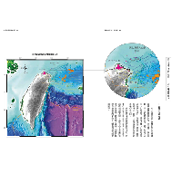 臺灣的紋理01：自然篇-地質地景、生物演化、環境變遷極簡史冊(beNature)
