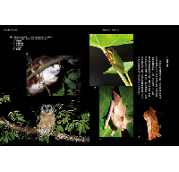 臺灣的紋理01：自然篇-地質地景、生物演化、環境變遷極簡史冊(beNature)