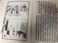 紅雑誌（全20冊）民国期刊集成