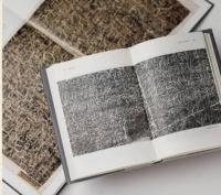 碑志春秋：石頭上的歴史事件与人物