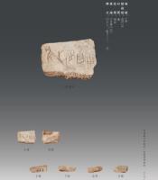 河南蔵甲骨集成 安陽博物館巻（全5冊）