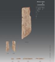 河南蔵甲骨集成 安陽博物館巻（全5冊）