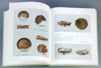 湘陰馬王墈窯址 湖南陶磁考古書系