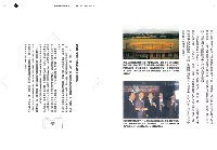 新版 臺灣棒球一百年