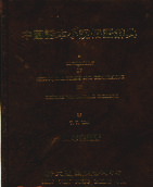 中国話本小説俗語辞典