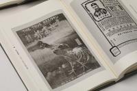 中国近現代美術期刊集成．第5輯(全10冊) 　