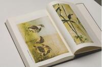 中国近現代美術期刊集成．第5輯(全10冊) 　