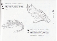 人神異獣録　山海経画伝