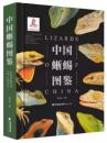 中国蜥蜴図鑑