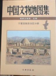 中国文物地図集　寧夏回族自治区分冊　附DVD
