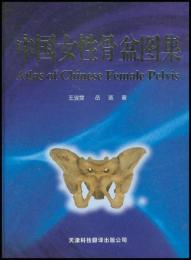 中国女性骨盆図集