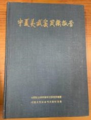 寧夏霊武窯発掘報告　中国田野考古報告集