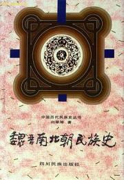 魏晋南北朝民族史（中国歴代民族史叢書）
