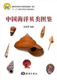中国海洋貝類図鑑