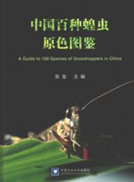 中国百種蝗虫原色図鑑