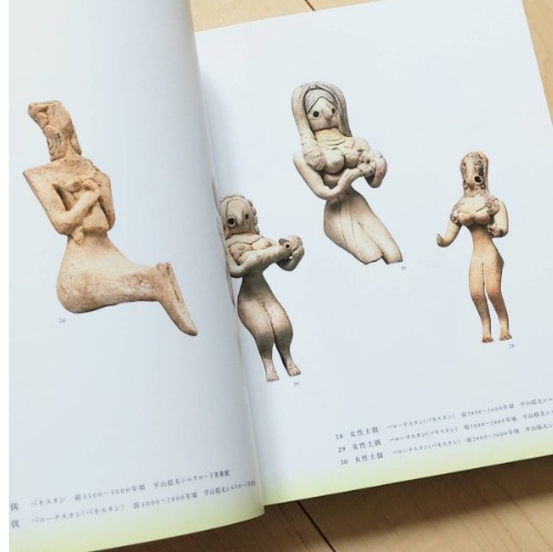 アジアの女神たち 図録(龍谷大学龍谷ミュージアム編) / 古本、中古本