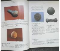 中国音楽文物大系・湖北巻