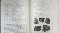 華容車軲山：新石器時代遺址發掘報告（全3冊）